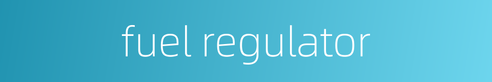 fuel regulator的同义词