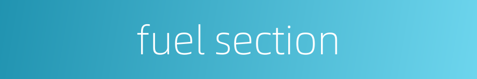 fuel section的同义词