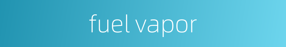 fuel vapor的同义词