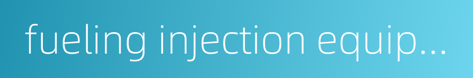 fueling injection equipment的同义词