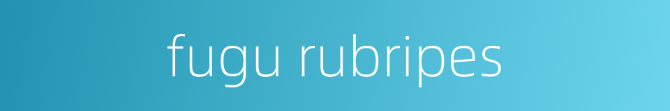 fugu rubripes的同义词
