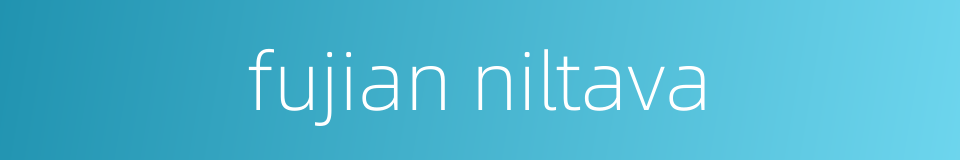 fujian niltava的同义词
