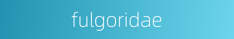 fulgoridae的同义词