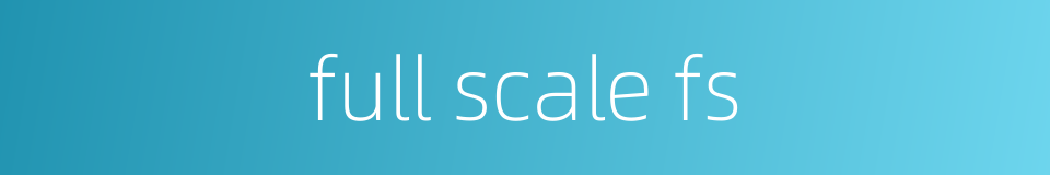 full scale fs的同义词