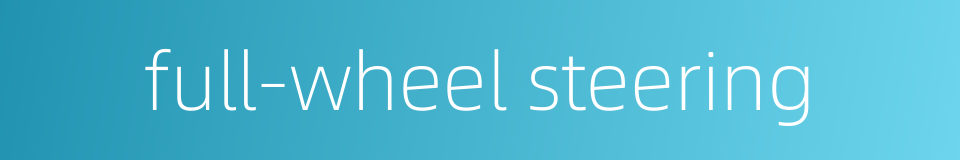 full-wheel steering的同义词