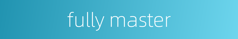 fully master的同义词