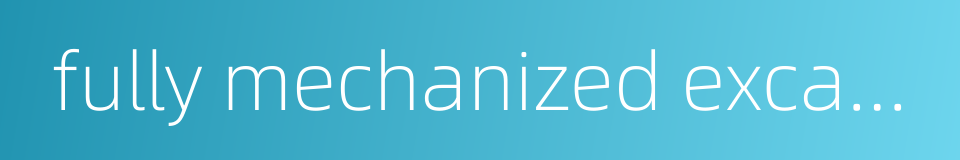 fully mechanized excavation face的同义词