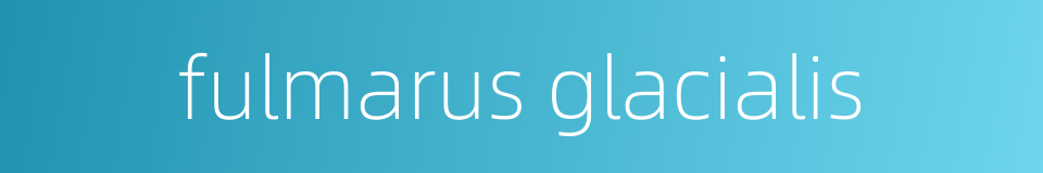 fulmarus glacialis的同义词