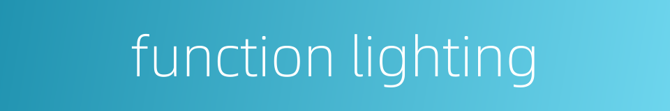 function lighting的同义词
