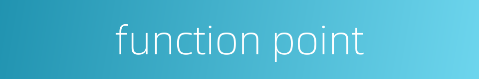 function point的同义词