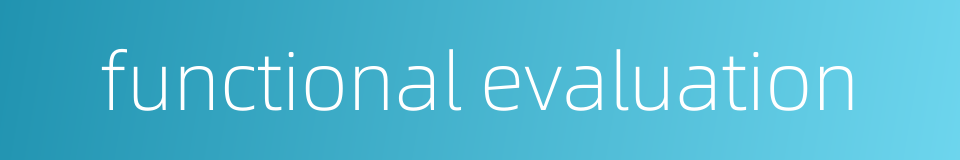 functional evaluation的同义词