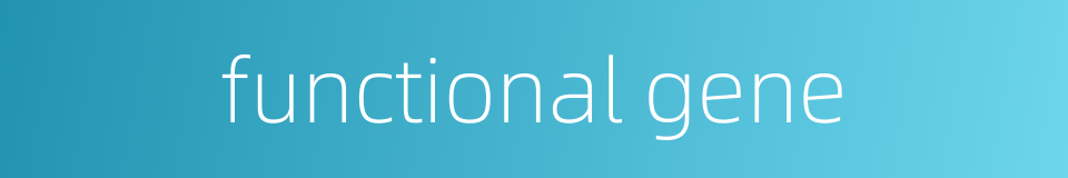functional gene的同义词