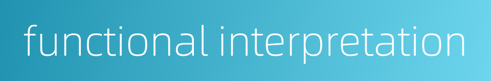 functional interpretation的同义词