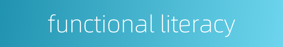 functional literacy的同义词