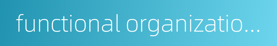 functional organizational structure的同义词