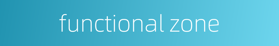 functional zone的同义词