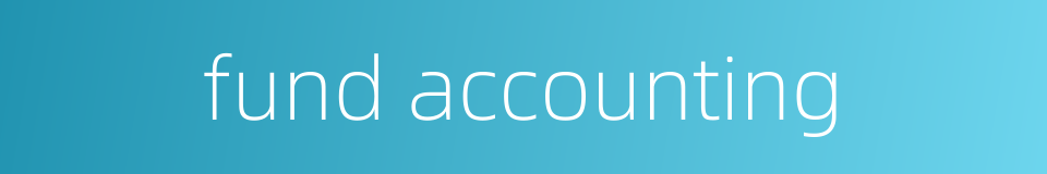 fund accounting的同义词