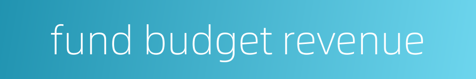 fund budget revenue的同义词
