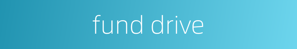 fund drive的同义词