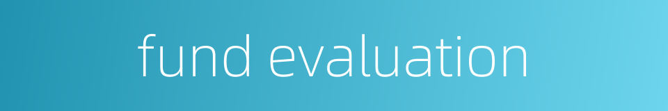 fund evaluation的同义词