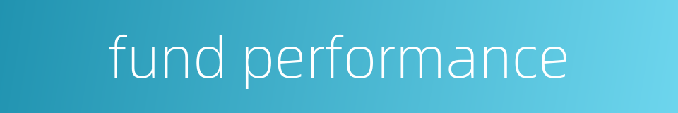 fund performance的同义词