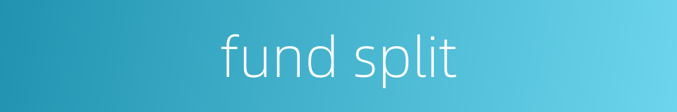 fund split的同义词