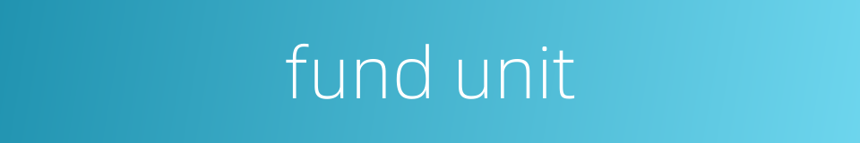 fund unit的同义词