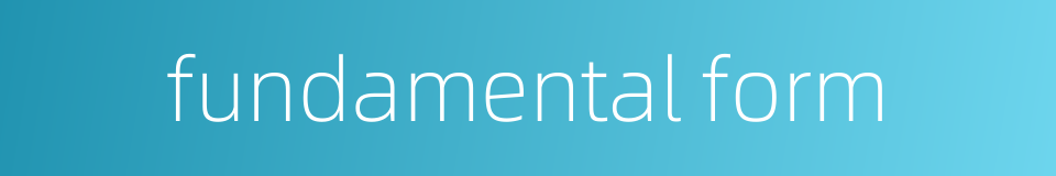 fundamental form的同义词