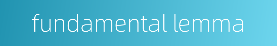 fundamental lemma的同义词