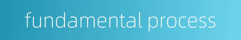fundamental process的同义词