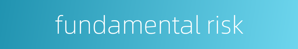 fundamental risk的同义词