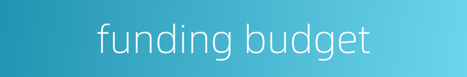 funding budget的同义词