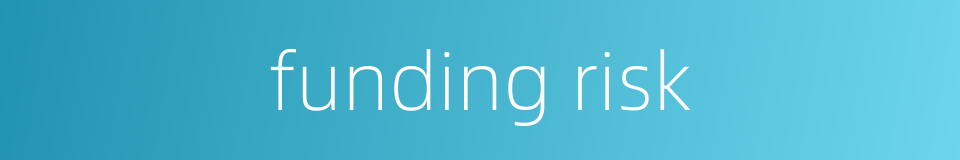 funding risk的同义词