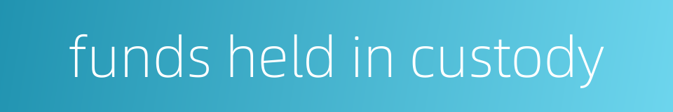 funds held in custody的同义词