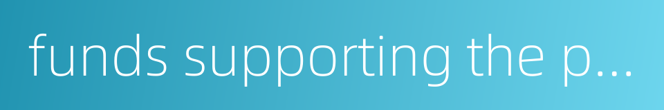 funds supporting the production of local and sideline products in short supply的同义词