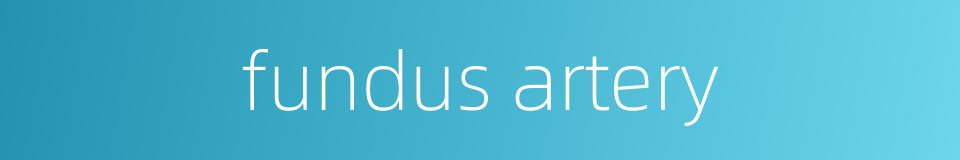 fundus artery的同义词