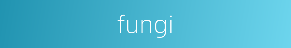 fungi的同义词