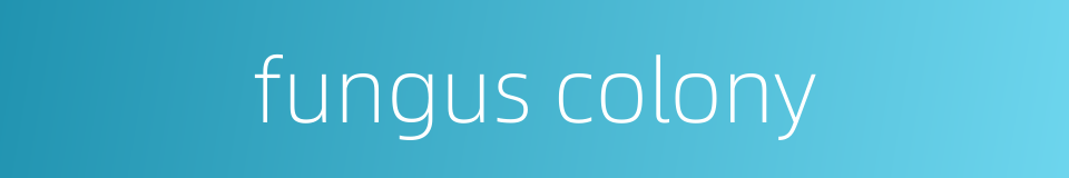 fungus colony的同义词