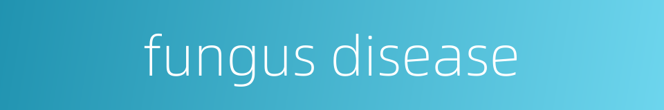 fungus disease的同义词
