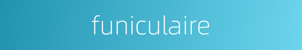 funiculaire的同义词