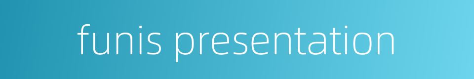 funis presentation的同义词