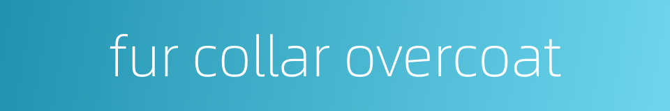 fur collar overcoat的同义词