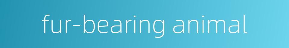 fur-bearing animal的同义词