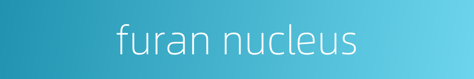 furan nucleus的同义词