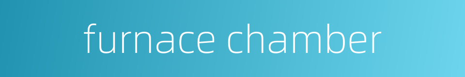 furnace chamber的同义词