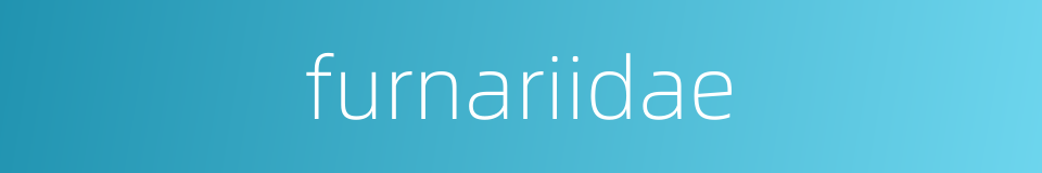 furnariidae的同义词