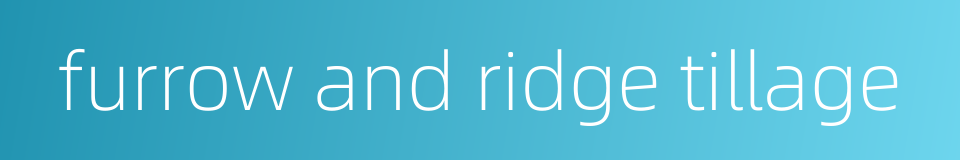 furrow and ridge tillage的同义词