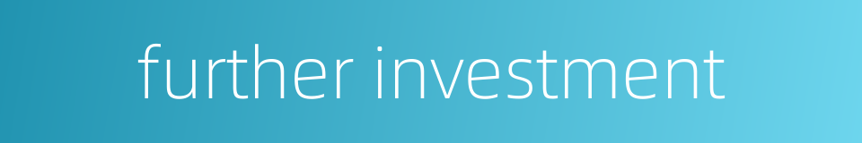 further investment的同义词
