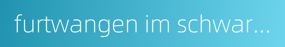 furtwangen im schwarzwald的同义词