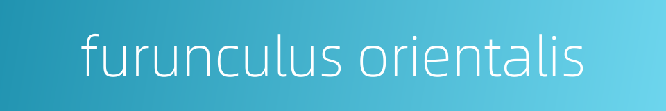 furunculus orientalis的同义词